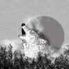 Mystical Wolf, Bio-Jersey, Tante Gisi, Lillestoff - ca. 80cm Rapport