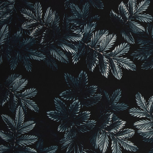 Dark Leaves by Thorsten Berger, 100% Viskose, petrol