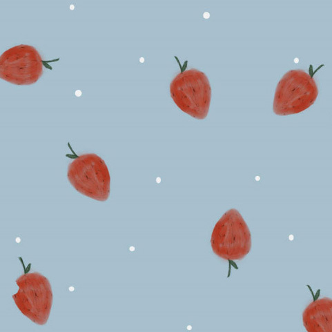 Wilmas Erdbeeren, Bio-Jersey, Lillemo, Lillestoff - REST 85cm