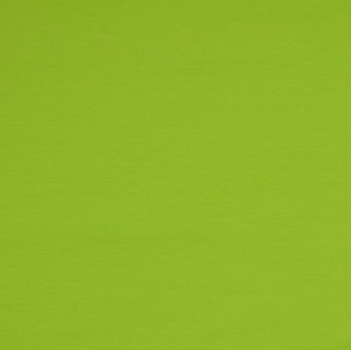 hellgrün, uni Baumwoll-Jersey, Öko-Tex - REST 50cm
