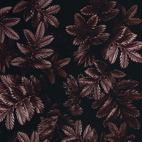 Dark Leaves by Thorsten Berger, 100% Viskose, bordeaux - REST 1,20m