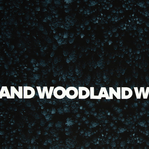 Woodland Allover petrol, French Terry Thorsten Berger