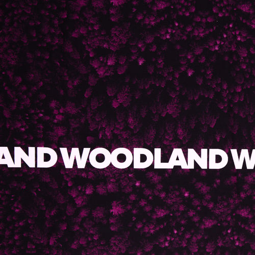 Woodland Allover pink, French Terry Thorsten Berger