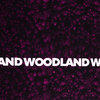 Woodland Allover pink, French Terry Thorsten Berger